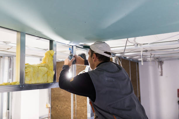 Best Specialized Insulation Services in Mechanicsville, MD