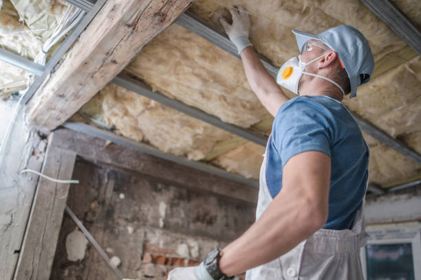 Best DIY Insulation Kits and Guidance in Mechanicsville, MD