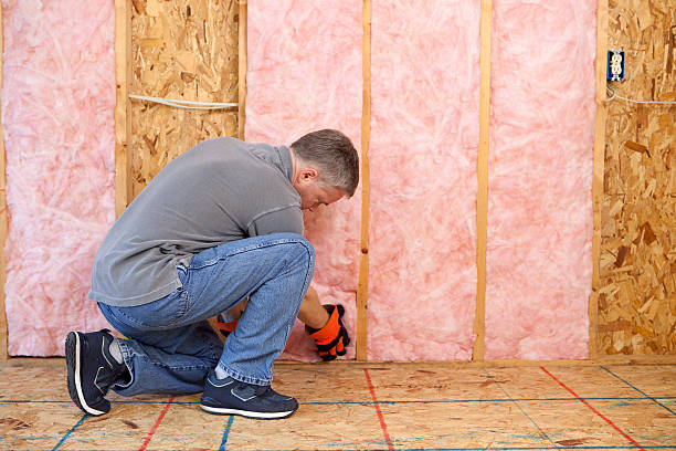 Types of Insulation We Offer in Mechanicsville, MD