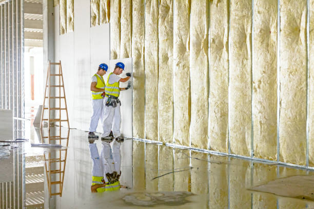 Best Spray Foam Insulation in Mechanicsville, MD
